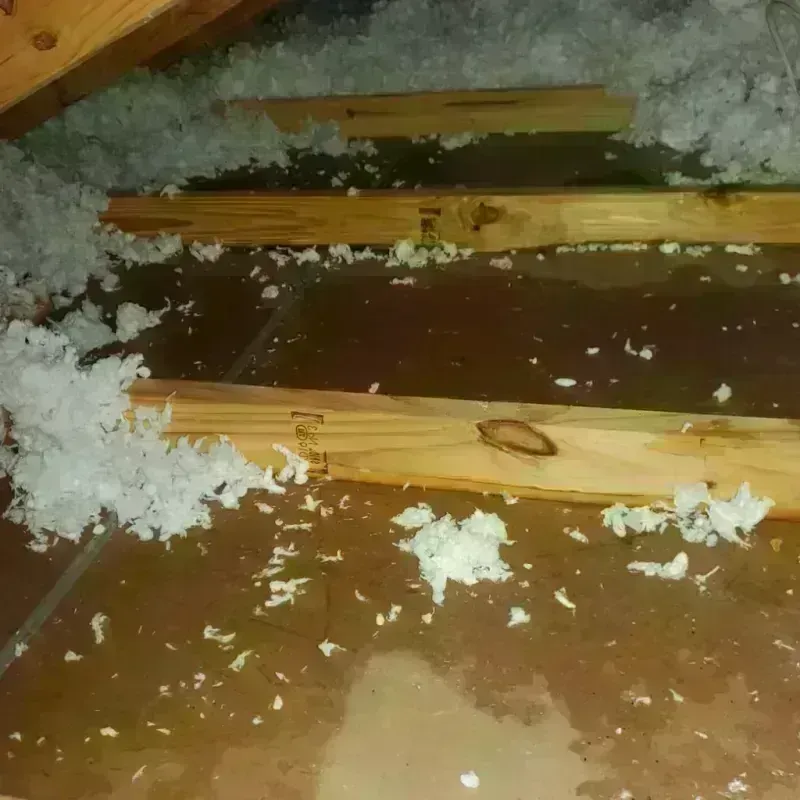 Attic Water Damage in Hastings, MI