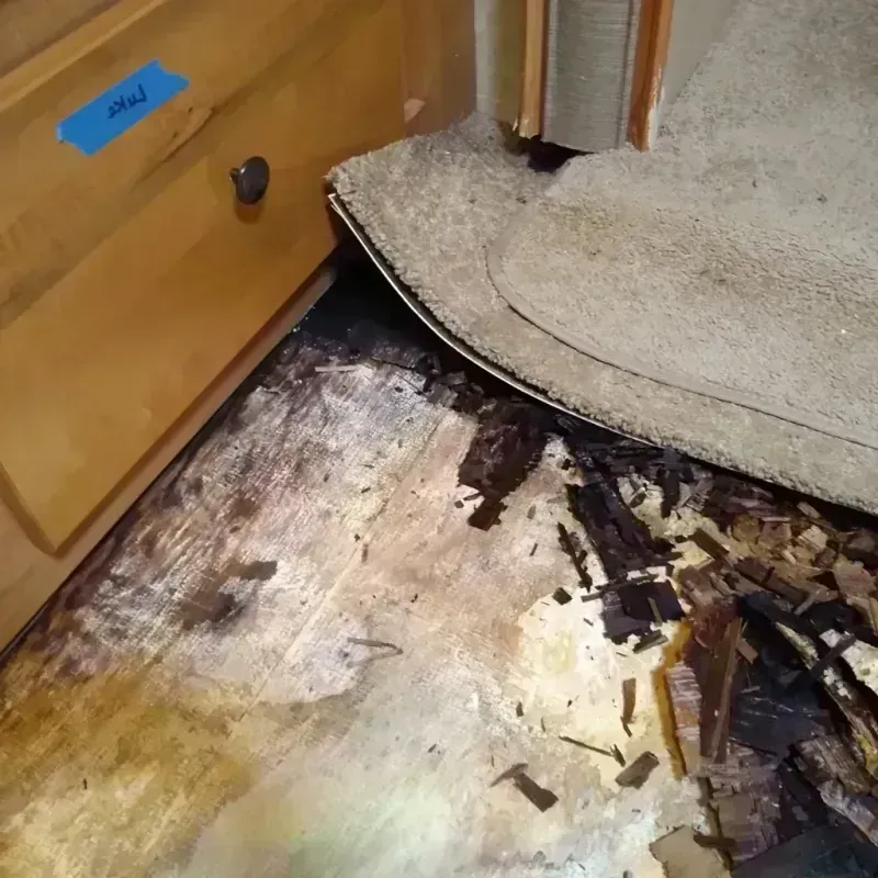 Wood Floor Water Damage in Hastings, MI